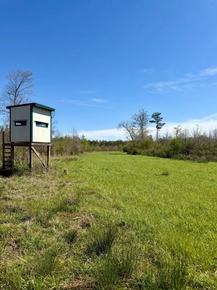 Farm and Ranch for sale in Choctaw County, Mississippi
