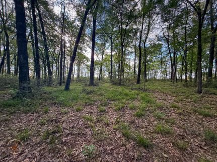 Land for sale in Angelina County, Texas