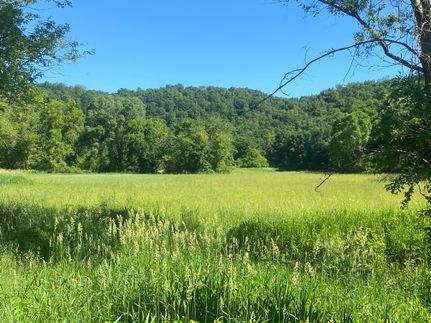 Timberland Property for sale in Fillmore County, Minnesota