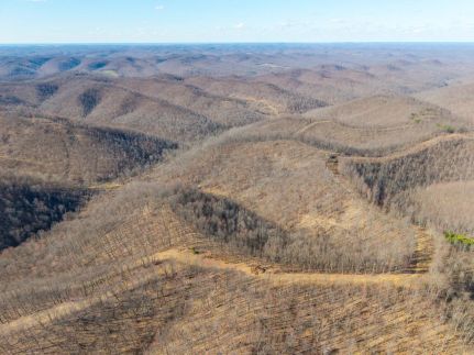 Undeveloped Land for sale in Lewis County, Kentucky