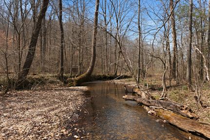Undeveloped Land for sale in Dickson County, Tennessee