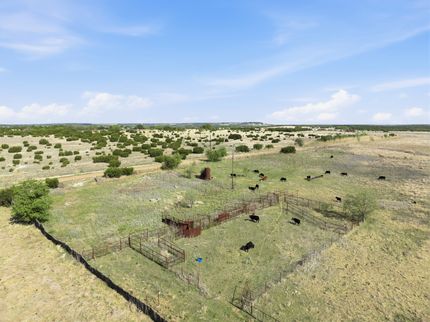 Undeveloped Land for sale in Coryell County, Texas