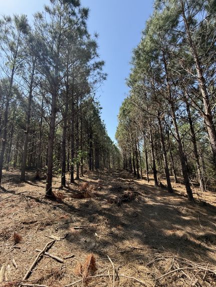 Land for sale in Gregg County, Texas