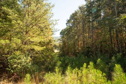 Farm and Ranch for sale in Polk County, Tennessee