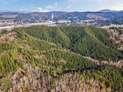 Timberland Property for sale in Lincoln County, Oregon