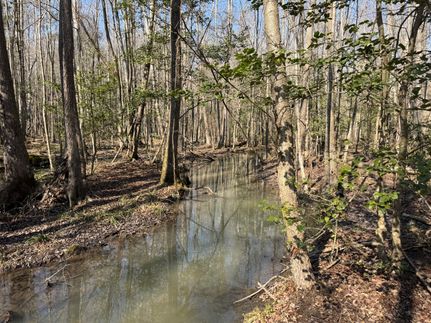 Timberland Property in Sumter County, South Carolina