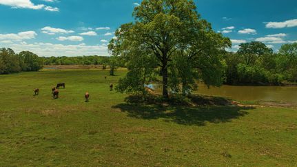 Farm and Ranch for sale in Brazos County, Texas