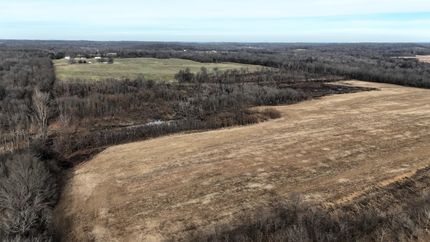 Undeveloped Land for sale in Livingston County, Kentucky