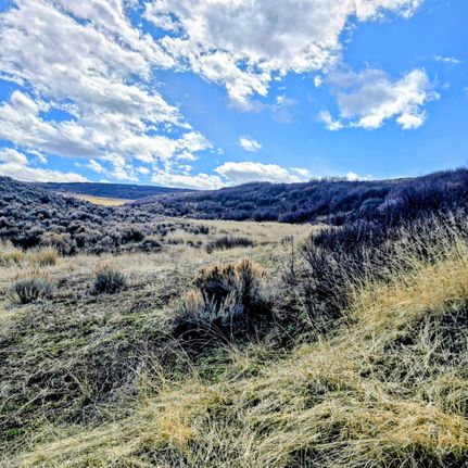 Recreational Property for sale in Routt County, Colorado