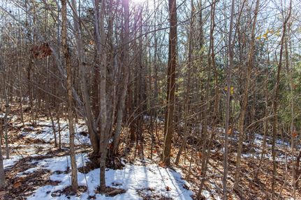 Recreational Property for sale in Amherst County, Virginia