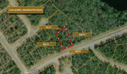 Undeveloped Land for sale in Washington County, Florida