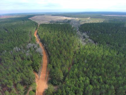 Land for sale in Baldwin County, Alabama