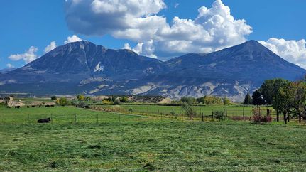 Farm and Ranch for sale in Delta County, Colorado