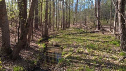 Recreational Property for sale in Union County, South Carolina