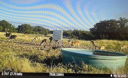 Timberland Property for sale in Sutton County, Texas