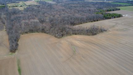 Land for sale in Wayne County, Illinois