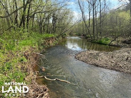 Timberland Property for sale in Giles County, Tennessee