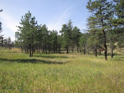 Timberland Property for sale in Musselshell County, Montana