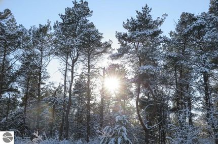 Land for sale in Grand Traverse County, Michigan