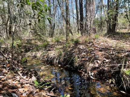 Timberland Property for sale in Barbour County, Alabama