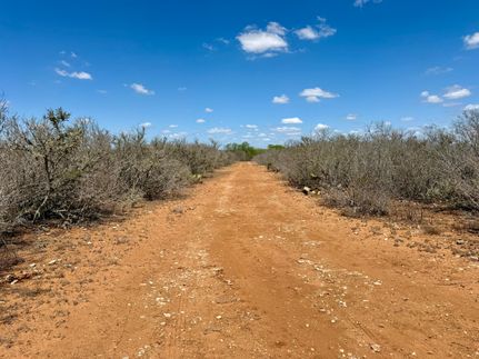 Farm and Ranch for sale in Duval County, Texas