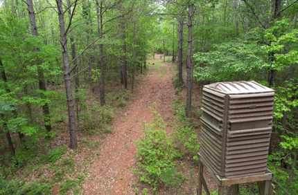 Timberland Property for sale in San Augustine County, Texas