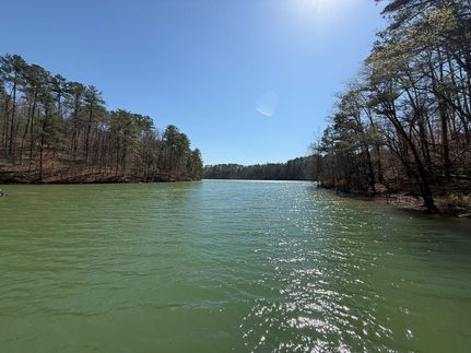 Undeveloped Land for sale in Winston County, Alabama