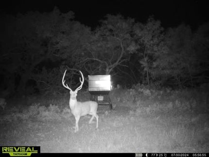 Undeveloped Land for sale in McCulloch County, Texas