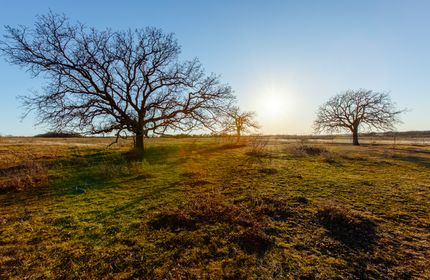 Recreational Property for sale in Jack County, Texas