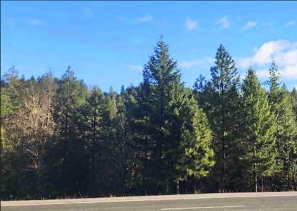 Land for sale in Josephine County, Oregon