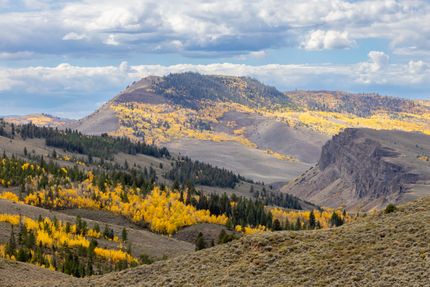 Timberland Property for sale in Grand County, Colorado