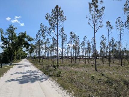 Recreational Property for sale in Suwannee County, Florida