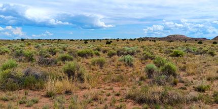 Recreational Property for sale in Apache County, Arizona