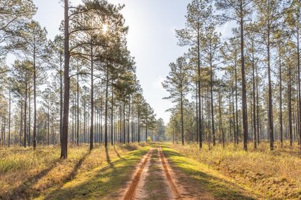 Timberland Property for sale in Sumter County, Georgia