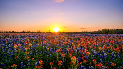 Farm and Ranch for sale in Grimes County, Texas