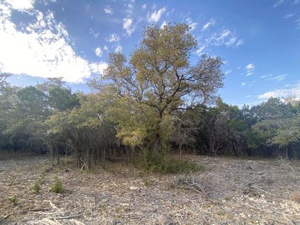 Timberland Property for sale in Williamson County, Texas