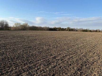 Farm and Ranch for sale in Olmsted County, Minnesota
