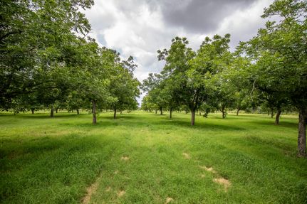 Recreational Property for sale in Brooks County, Texas