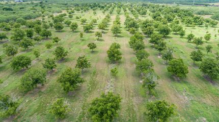 Farm and Ranch for sale in Jim Wells County, Texas