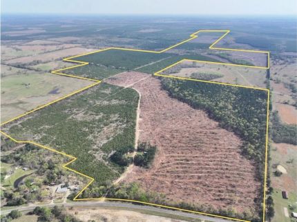 Undeveloped Land for sale in Red River County, Texas