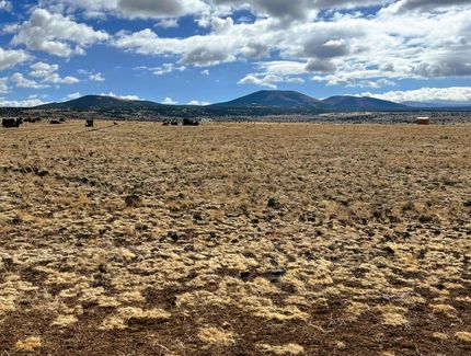 Undeveloped Land for sale in Apache County, Arizona