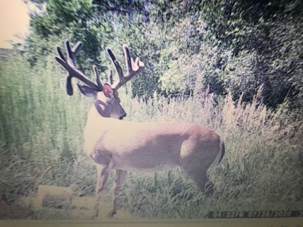 Recreational Property for sale in Marion County, Kansas