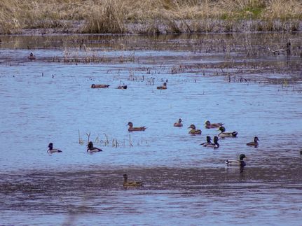 Farm and Ranch for sale in Columbia County, Oregon
