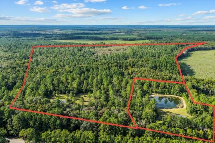 Timberland Property in Camden County, Georgia