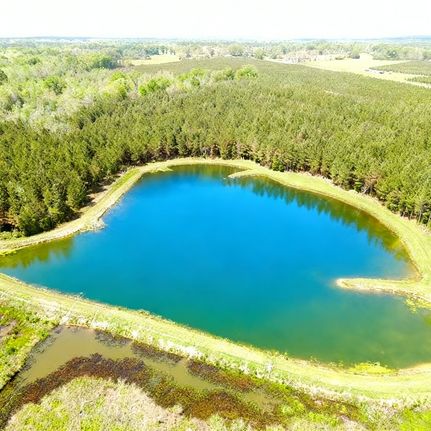 Timberland Property for sale in Crenshaw County, Alabama