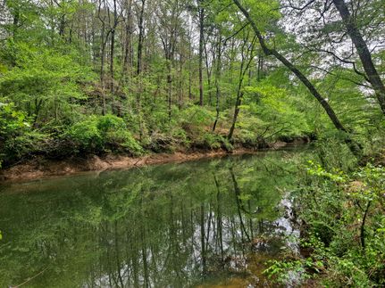 Undeveloped Land for sale in Walker County, Alabama