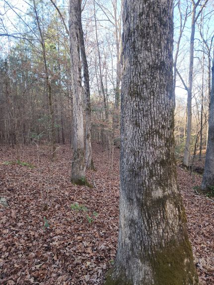 Farm and Ranch for sale in Monroe County, Georgia