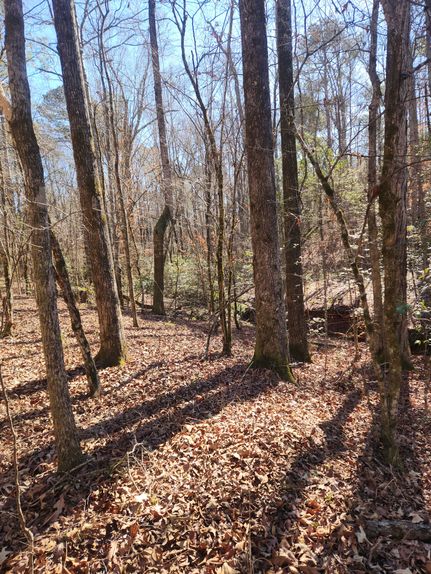 Farm and Ranch for sale in Monroe County, Georgia