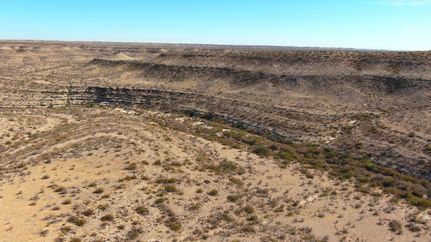 Undeveloped Land for sale in Terrell County, Texas