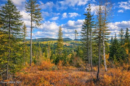 Undeveloped Land in Bonner County, Idaho